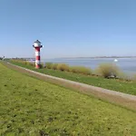 Apfelkorb