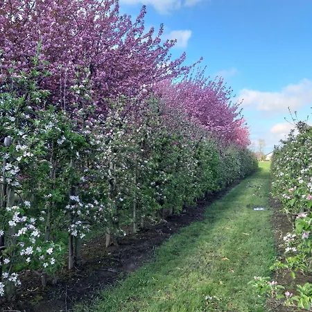 Apfelkorb Appartement